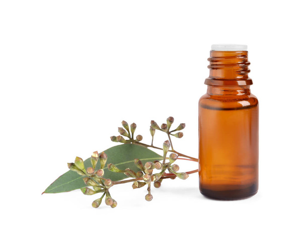 Bottle of eucalyptus essential oil and plant branch on white background - Foto, Imagem