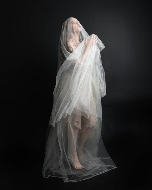 ダークスタジオのバックグラウンドで隔離された幽霊に覆われた生地で白いガウンのドレスを着た美しい女性の完全な長さの肖像画. - 写真・画像