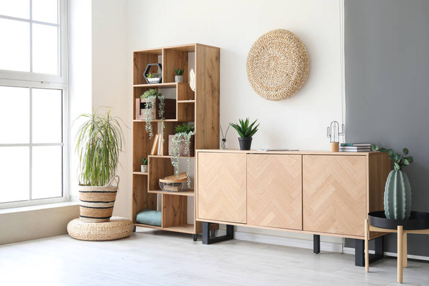 Wooden cabinet and shelving unit in interior of stylish room - Photo, Image