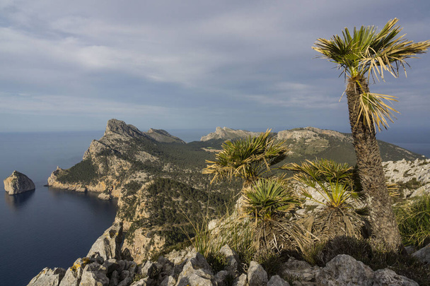 Calo des Moro, Santany, Mallorca, Baleár-szigetek, Spanyolország, Európa - Fotó, kép
