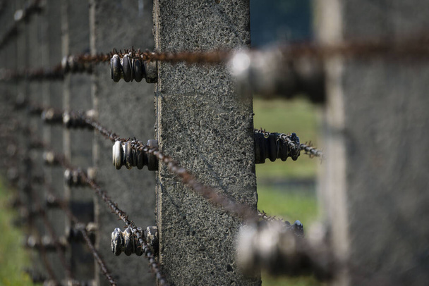 alambrada, campo de concentracion de Auschwitz-Birkenau, museo estatal, Oswiecim, Polonia, Kelet-Európa - Fotó, kép