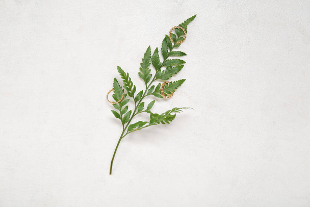 Schöne Ringe und Pflanzenblätter auf weißem Grunge-Hintergrund - Foto, Bild