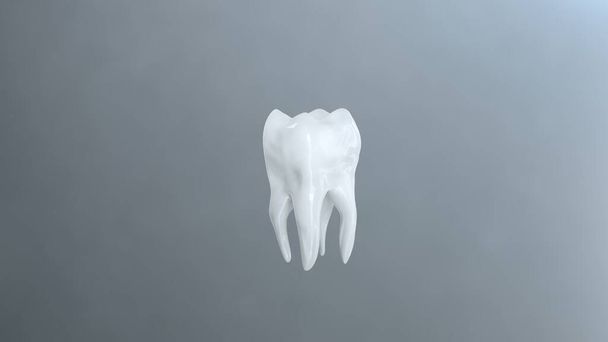 3d renderizado cuerpo completo diente perfecto y limpio. - Foto, Imagen