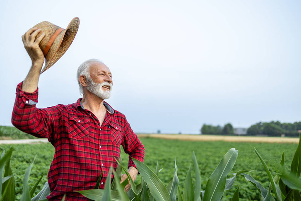 Portrait of senior farmer proudly standing on his farmland and holding his hat. - Photo, Image