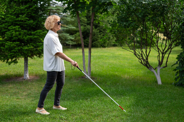 Elderly blind woman walking in the park - 写真・画像