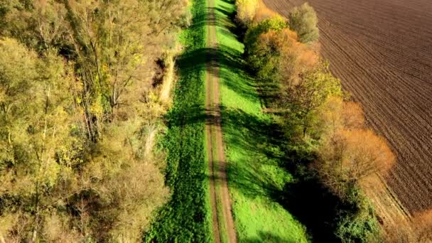 Aerial shot of a hiking trail on a dike between wetland and fields, Germany - Footage, Video