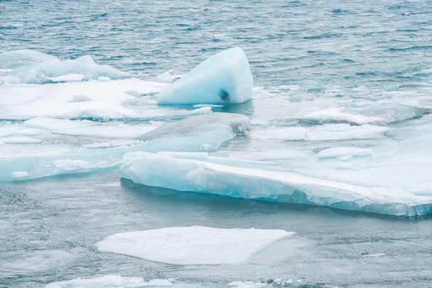 Led plovoucí na pobřeží Jokulsarlon ledovcové laguny Vatnajokull národního parku na jižním Islandu. - Fotografie, Obrázek