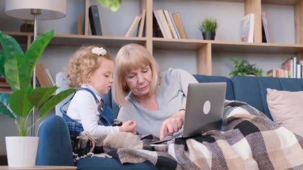 A little girl teaches an elderly woman to use a laptop, her granddaughter has fun with her grandmother sitting on the sofa. Happy family - Materiał filmowy, wideo