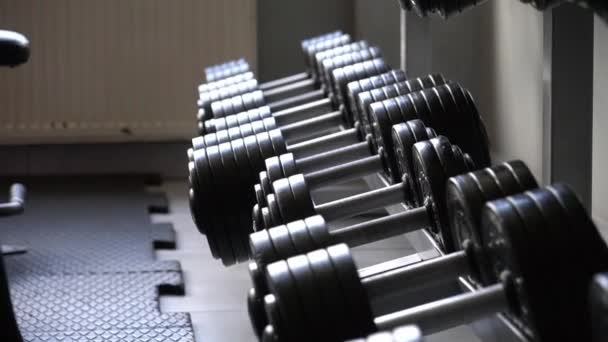 Close-up of lifting dumbbells in the gym. Woman strength training lifting dumbbells. Female fitness indoors in a fitness center. - Video