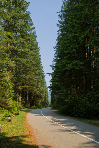 Üres út a tűlevelű erdőben egy napos nyári napon. Túrázás nyomvonal a Sziklás-hegység erdőben fák. Utazási és turisztikai koncepció, szelektív fókusz. - Fotó, kép