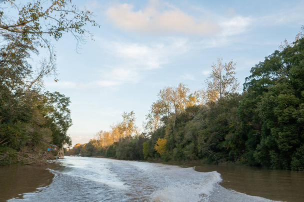 Полдень на реке Луджан в дельте Тигра в Буэнос-Айресе, Аргентина, 2023 год. - Фото, изображение