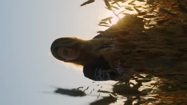 Вертикальний портрет романтичної нареченої у вишивці, що стоїть на пшеничному полі - Кадри, відео