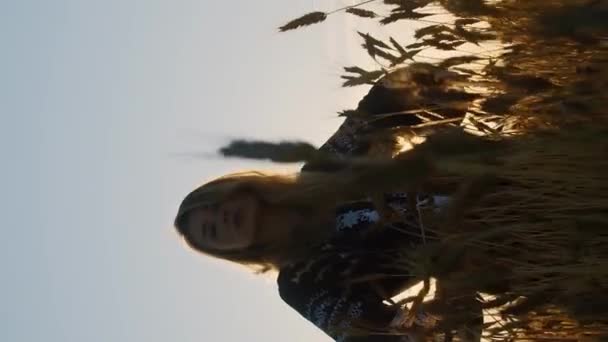 Κάθετη βίντεο καυκάσια ρομαντική γυναίκα στέκεται σε ένα χωράφι με σιτάρι το βράδυ ανθίζοντας ακτίνες του φωτός - Πλάνα, βίντεο