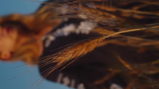 Oreilles de blé méditatives verticales et femme hors foyer, concept de méditation - Séquence, vidéo