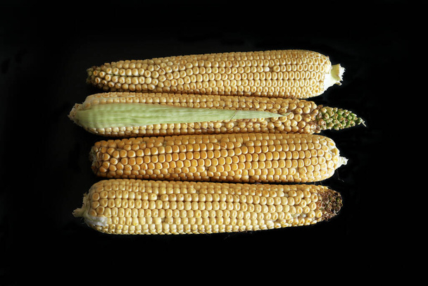 Fekete alapon izolált érett nyers kukorica. Frissen főtt kukoricacsutka. Egészséges nyári étel koncepció. Felülnézet, közelkép, lapos fekvés, másolás. - Fotó, kép