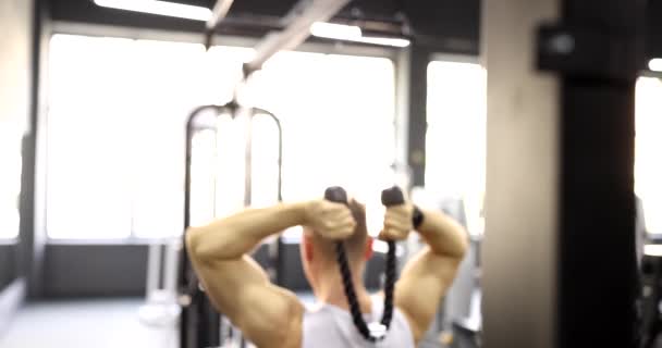 Rear side view of man holding dumbbell lifting equipment behind back. Exercises for muscles of biceps and back - Footage, Video