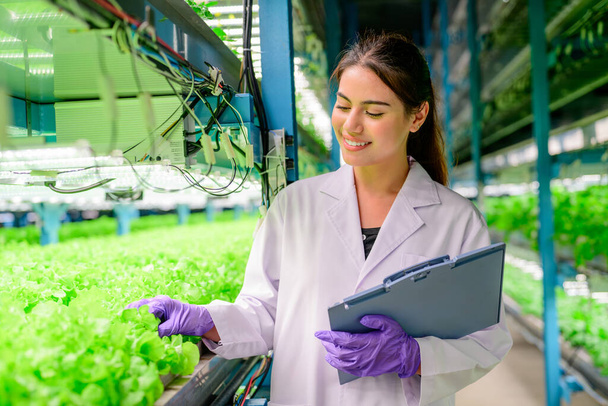 Biyolog serada hidrofonik sebze yetiştirme kalitesini ve kayıtlarını kontrol ediyor, akıllı çiftlikte teknoloji, kapalı tarım fabrikası olan insanlar, seradaki sebzeleri kontrol eden araştırmacılar, - Fotoğraf, Görsel