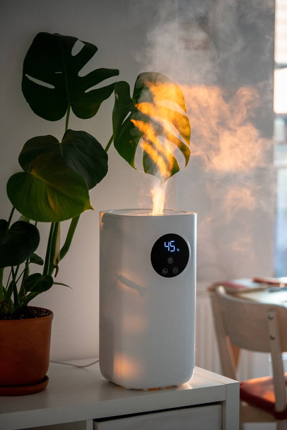 Modern humidifier at home, moistens dry air surrounded by indoor Monstera houseplant. Humidification, plant care, comfortable living conditions concept. Diffuser, apartment with moisturizer - Photo, Image