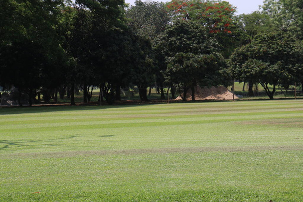 зелене поле для гольфу з природою для турніру з гольфу - Фото, зображення