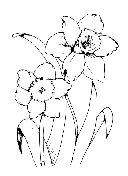 Siyah renkli dijital çizimlerin güzel çiçek tasarımı konsepti beyaz arkaplanda izole edilmiş - vektör illüstrasyonu - Vektör, Görsel