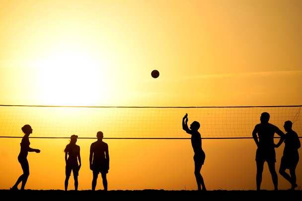 volleyball  - Foto, Imagem