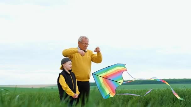 Nonno con nipote volare un aquilone in mezzo a un campo verde. Una famiglia felice. Concetto di un hobby e e godere di tempo di buona qualità.  - Filmati, video