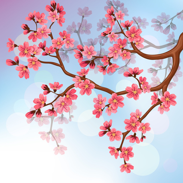 Fundo com flores de sakura
 - Vetor, Imagem