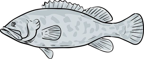 Atlantic Goliath Grouper Fish Gulf of Mexico Cartoon Drawing - Vector, Image