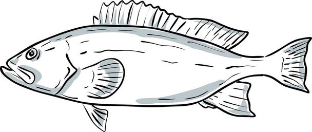Zackenbarsch Fisch Golf von Mexiko Cartoon Zeichnung - Vektor, Bild