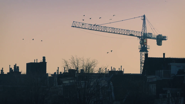 Manhã Skyline pássaros voando, guindaste atrás de casas
 - Filmagem, Vídeo