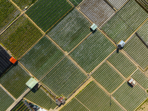 Blick von oben auf den Bauernhof im Grünen - Foto, Bild