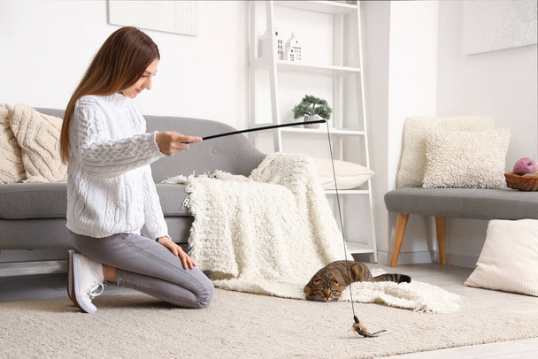 Woman playing with striped Scottish fold cat at home - Fotoğraf, Görsel