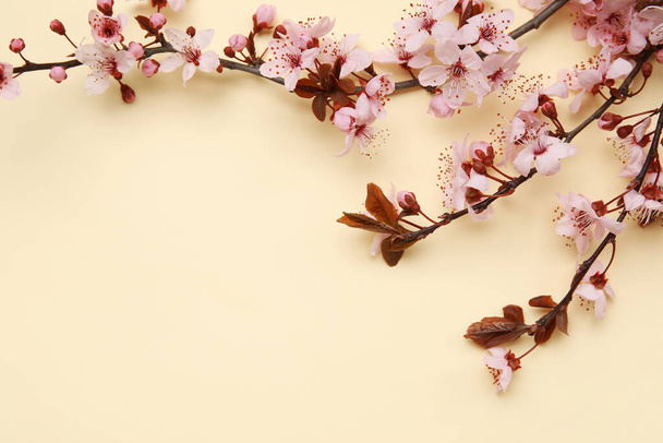 Ramas florecientes sobre fondo beige - Foto, imagen
