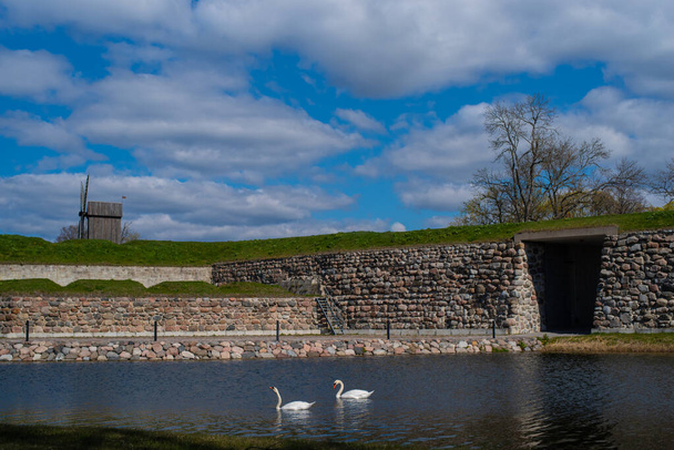 Dos cisnes blancos en el estanque frente al castillo episcopal de Kuressaare en un soleado día de primavera. Isla Saaremaa, Estonia. - Foto, Imagen