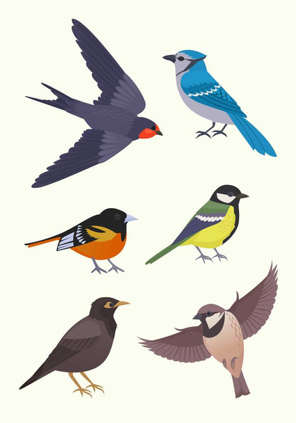 city birds in different poses set. birds flying and standing, bullfinch, tit, sparrow, pegeon, crow. cartoon vector birds set. - Vetor, Imagem