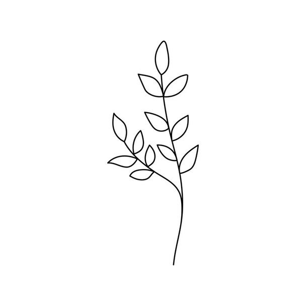 Beauty florist vector icon design - Vector, Image