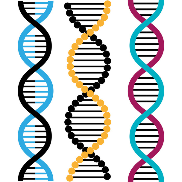 Diseño de ADN, ilustración vectorial
. - Vector, Imagen