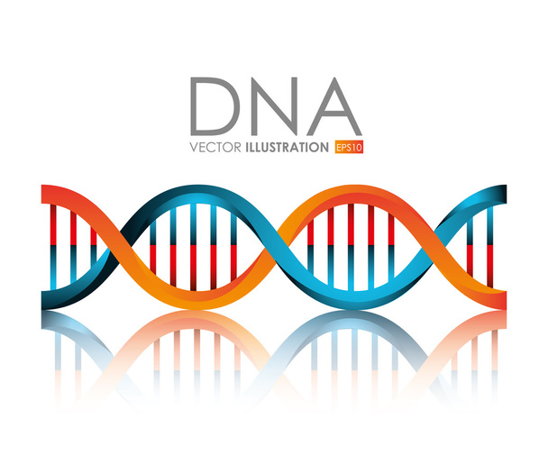 DNA design, vector illustration. - Vector, imagen