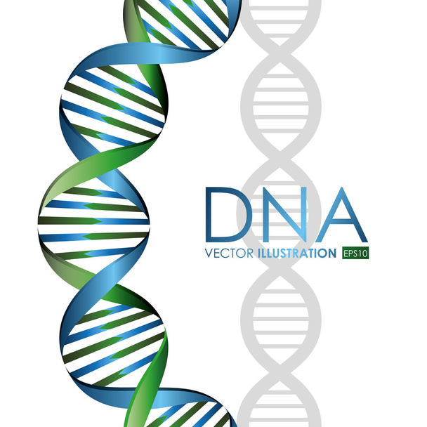 Дизайн ДНК, Векторні ілюстрації
. - Вектор, зображення