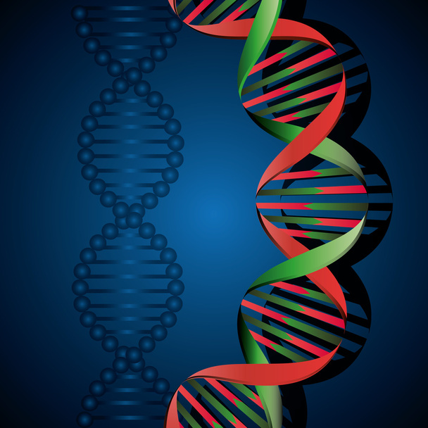 Diseño de ADN, ilustración vectorial
. - Vector, imagen