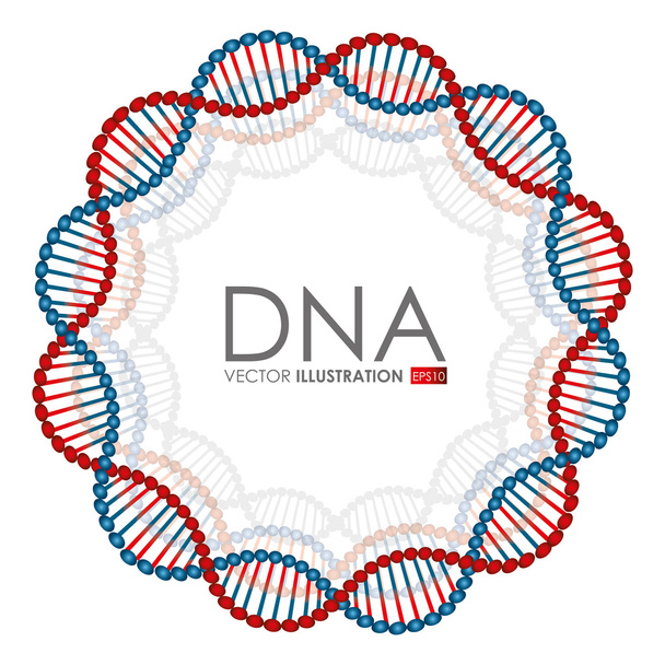 Дизайн ДНК, векторная иллюстрация
. - Вектор,изображение