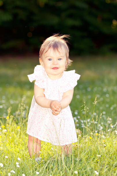 Little girl in a meadow - Photo, Image