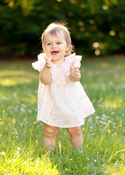 Little girl in a meadow - Photo, Image