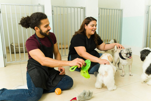 Travailleurs souriants ayant beaucoup de plaisir à jouer et à donner des jouets à de beaux chiens séjournant à la garderie ou à l'hôtel pour animaux de compagnie - Photo, image