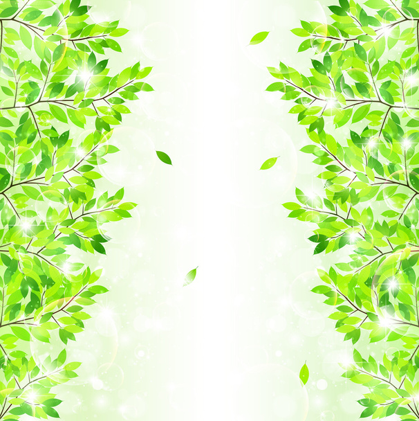 Folha verde fresco fundo
 - Vetor, Imagem