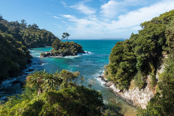 aerial view of rugged coastline of Stewart Island (Rakiura) in New Zealand with tropical rainforest, blue sky and copy space - Foto, imagen