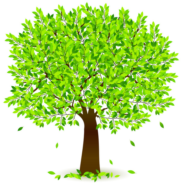 Leaf fresh green background - Vector, Image