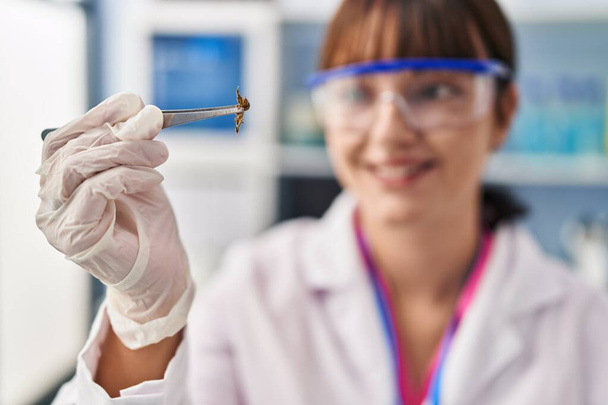 Νεαρή όμορφη Ισπανίδα επιστήμονας χαμογελώντας σίγουρη κρατώντας φυτό με τσιμπιδάκι στο φαρμακείο - Φωτογραφία, εικόνα