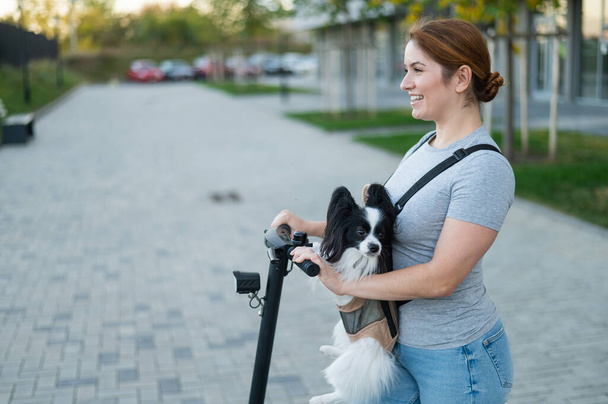 A woman rides an electric scooter with a dog in a backpack. Pappilion Spaniel Continental in a sling - Фото, изображение