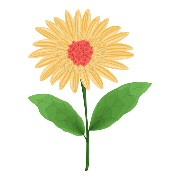 Vektorbild einer orangen Gerbera-Blume. Vektorillustration - Vektor, Bild